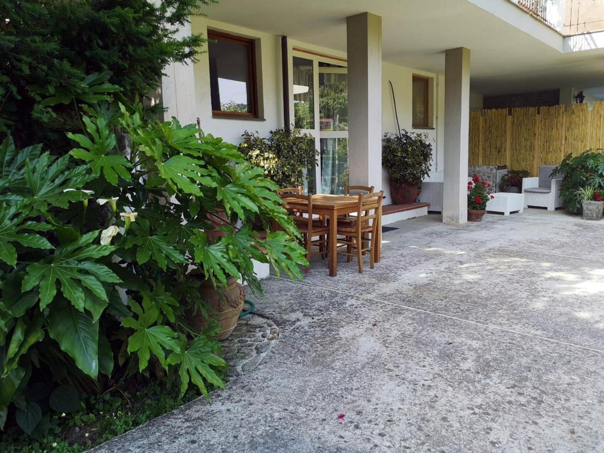 Villa Parte Di Casa Con Giardino E Piscina Pietrasanta Exterior foto