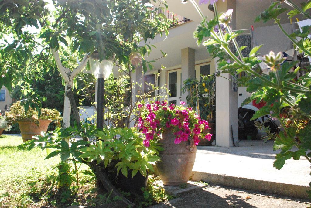 Villa Parte Di Casa Con Giardino E Piscina Pietrasanta Exterior foto