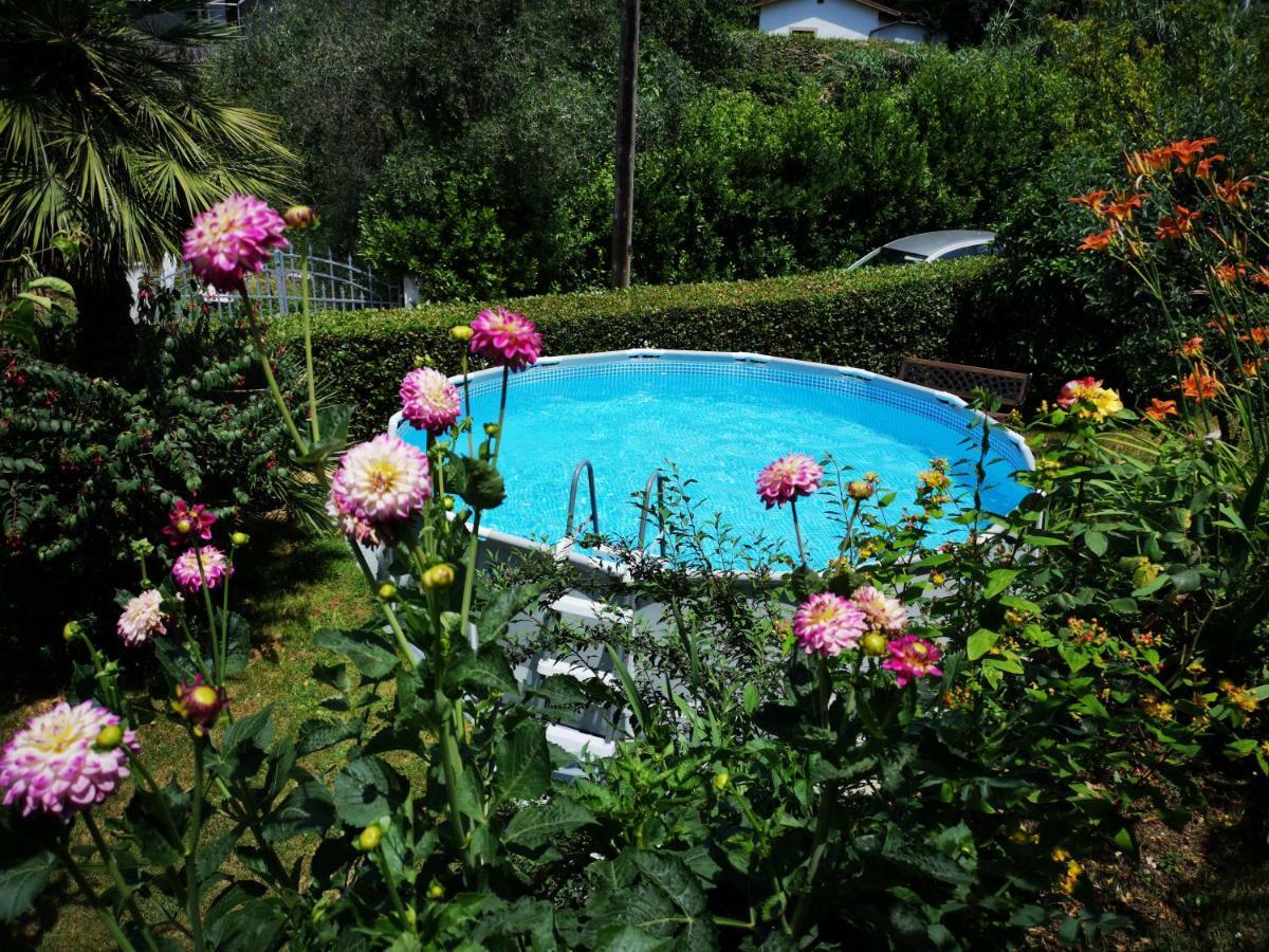 Villa Parte Di Casa Con Giardino E Piscina Pietrasanta Exterior foto